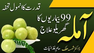 Top 7 Amazing Health Benefits of Indian Gooseberry | Amla ky Fayde | Dietitian Shamsa Malik