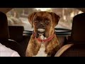 toyota yaris zen tv ad featuring buddy