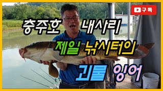 충주호 제일낚시터의 괴물잉어