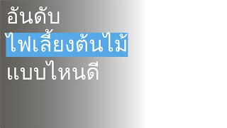 🌵 10 อันดับ ไฟเลี้ยงต้นไม้ แบบไหนดี 2023