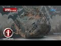 Mga bangkay ng higante sa dagat, paano nga ba ginagawang display sa museum? | I-Witness