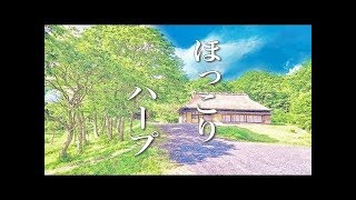 アニメサントラ風【心が落ち着く音楽】～美しいハープの音色で癒されるヒーリングミュージック ～癒しの時間や睡眠用、瞑想用などにどうぞ～