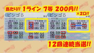 【BINGO５】 ★当たり! 12回連続!! 第337回2023年10月4日分結果と、第338回2023年10月11日分予想