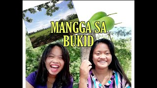 NAMITAS NG MANGGA SA BUKID | LAUGHTRIP