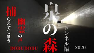 超怖い心霊 Ghost Live 神奈川県 トンネル内で6分47秒に恐怖の録音