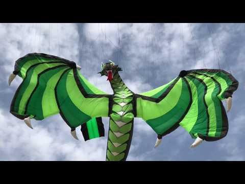 Arabian Kites of Joy Arabian Kites of Joy