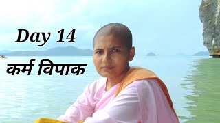 Day 14 KARMA VIPAK भगवान् बुद्धले घोडाले खाने आहार सेवनगर्नु परेको कारण