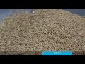 lawn care 101 how to weed seed feed mow u0026 water