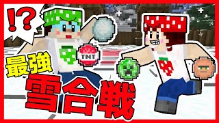 【マイクラ】クリーパーや村人の雪玉作って雪合戦したら最強すぎた…ｗｗ　マインクラフト　いちごファミリー