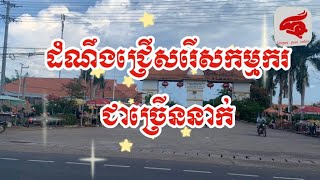 ដំណឹងជ្រើសរើសកម្មករជាច្រើនកម្មករជាច្រើននាក់