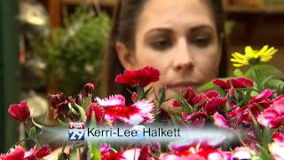 FOX29 Kerri-Lee Halkett Next Generation campaign  20