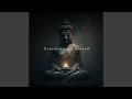 Silent Echoes