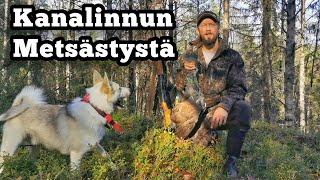 Metsäkanalintujahtia Tassun kanssa - tapahtumarikas reissu!