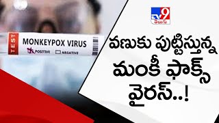 వణుకు పుట్టిస్తున్న మంకీ ఫాక్స్ వైరస్..! - TV9