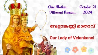 വേളാങ്കണ്ണി മാതാവ് __ Our Lady of Velankanni