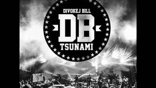 DIVOKEJ BILL - Požehnání (Tsunami 2017)