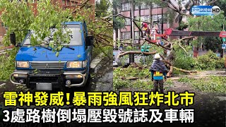 雷神發威！暴雨強風狂炸北市　3處路樹倒塌壓毀號誌及車輛｜中時新聞網