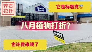 建材店的卖花部门 - 看看八月打折是啥意思 - Toronto Lowe‘s Garden Center