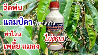 Ep288ฉีดพ่นแลมป์ดา-ไซฮาโลทริน ไป แต่เก็บใบไม่อยู่แมลงไม่ตาย เพราะอะไร