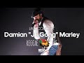 Damian Jr  Gong Marley Live at Reggae Lake Festival Amsterdam 2024