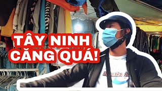 SĂN ĐỒ SI TÂY NINH | TÂY NINH CĂNG QUÁ