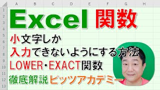 【Excel関数 徹底解説】LOWER・EXACT関数　英単語は小文字しか入力できないようにする方法