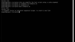 Bash script: echo command in Linux : basic examples