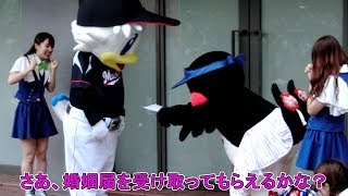 つばみちゃんマーくんに婚姻届を渡してプロポーズ大作戦☆プロ野球交流戦【ヤクルトスワローズ×ロッテマリーンズ】2019.6.23 神宮球場