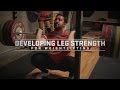 Developing Leg Strength for Weightlifting | JTSstrength.com