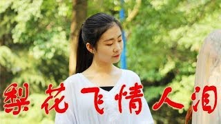 男女情歌对唱《梨花飞情人泪》DJ版，欢快带感的节奏，听得人心醉