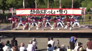 FeS2011静岡おだっくい祭り5