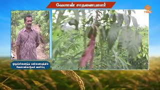 ஒருங்கிணைந்த பண்ணையத்தில் வேளாண் காடுகள் வளர்ப்பு | Successful Farmer | 02.09.2024