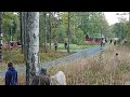 rally uppsala historic 2022 ss4 nr40