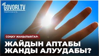 Соңку жаңылыктар: Жайдын аптабы жанды алуудабы?