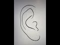 How to Draw an Ear