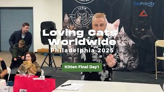 The Purr-fect Event: CATstravaganza Kitten Class