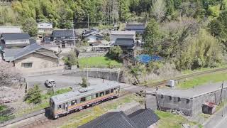 津山　三浦駅の桜～松𡵅橋梁～美作河井駅　ドローン　2024年4月27日