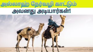 அல்லாஹ் நேர்வழி காட்டும் அவனது அடியார்கள்!