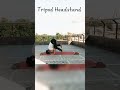 Tripod Headstand | Arm balance #yoga #exercise #shorts #youtubeshorts