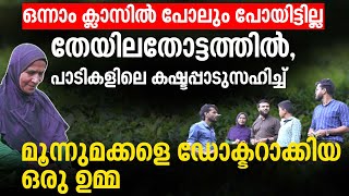 തേയിലത്തോട്ടത്തിൽ പണിയെടുത്ത് ഈ ഉമ്മ പഠിപ്പിച്ച് ഡോക്ടർമാരാക്കിയത് മൂന്ന് മക്കളെ