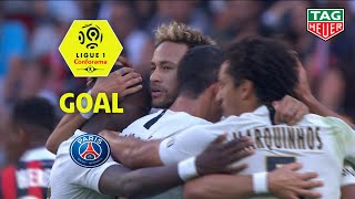 Goal NEYMAR JR (22') / OGC Nice - Paris Saint-Germain (0-3) (OGCN-PARIS) / 2018-19
