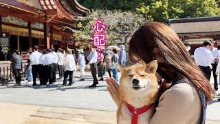 撮影中の動画に謎の女性の声が入っていて怖くなったので神社に行ってきました