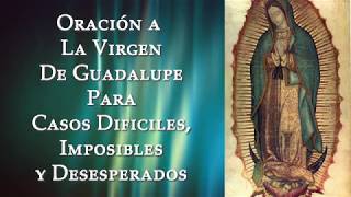Oración a la Virgen de Guadalupe para Casos Difíciles, Imposibles y Desesperados