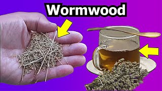 Drink Wormwood on Empty Stomach and After Days These 5 Incredible Benefits will Happen to Your Body