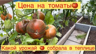 КАКОЙ УРОЖАЙ 🍅 СОБРАЛА В ТЕПЛИЦЕ.КАКИЕ СОРТА🍅👩‍🌾СКОЛЬКО СТОЯТ ТОМАТЫ 👩‍🌾😉