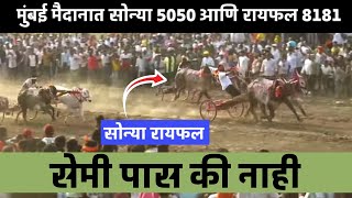 मुंबई मैदानात मोठा सोन्या 5050 आणि रायफल 8181 सेमी पास की नाही #सोन्या5050 #बैलगाडा #बकासुर #racing