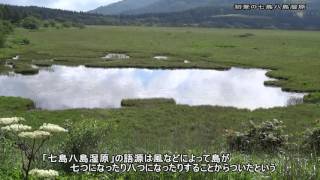 20160720?[4K]初夏の七島八島湿原・諏訪市/下諏訪町