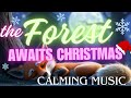 The forest awaits Christmas Day - Beautiful calming / lullaby music. Sing along with lyrics!