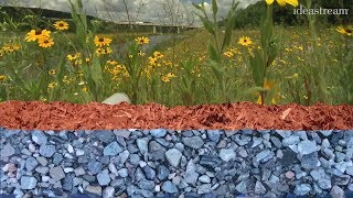 Cuyahoga Valley National Park's Natural Wastewater Treatment