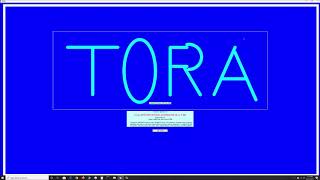 How to solve Linear Programs (goal programming) in TORA